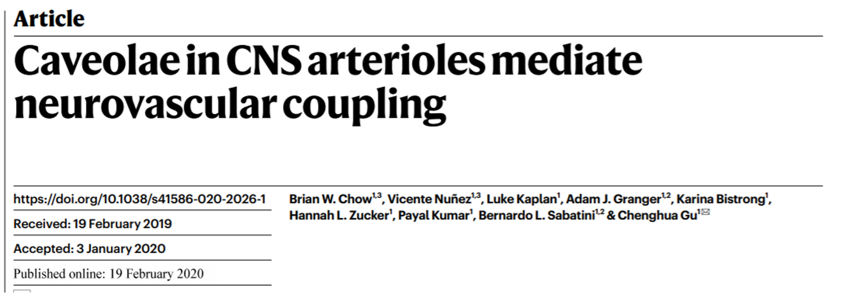 Caveolae in CNS arterioles mediate neurovascular coupling