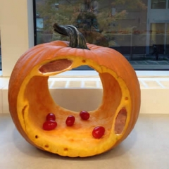 Our blood-brain barrier pumpkin! Did you guess that?!
